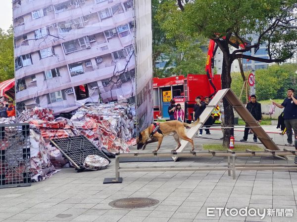 ▲▼ 新北防災園遊會歡樂登場，副市長為搜救犬Amei授階            。（圖／記者戴上容翻攝）