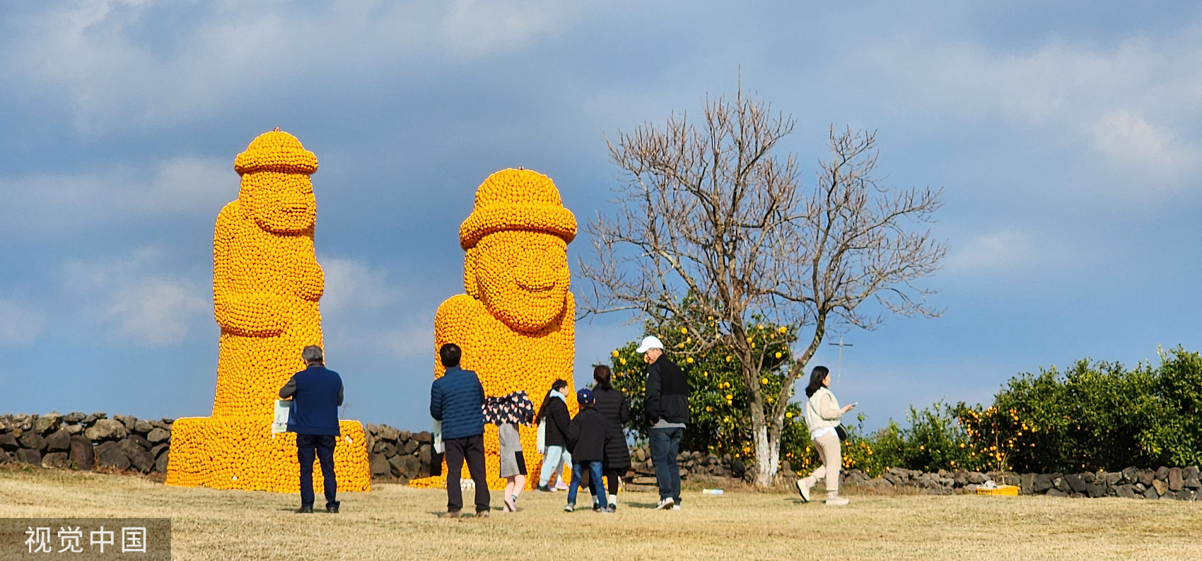 ▲▼南韓濟州島西歸浦市去年12月舉辦柑橘博覽會，用柑橘組成「石頭老人」雕塑。（圖／CFP）