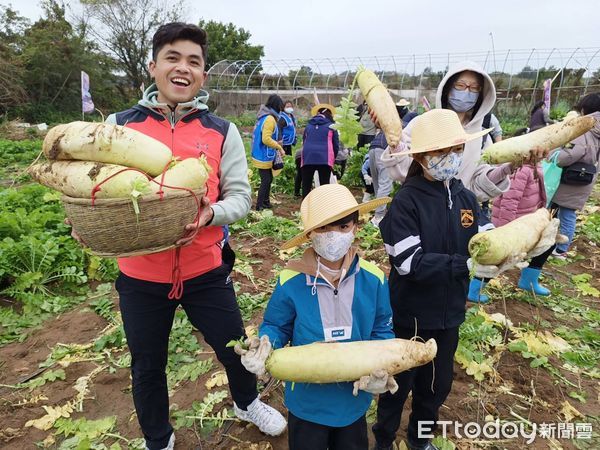 ▲▼ 金門200人冒冷拔菜頭，6千顆10分鐘淨空            。（圖／記者林名揚翻攝）