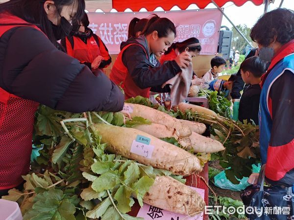 ▲▼ 金門200人冒冷拔菜頭，6千顆10分鐘淨空            。（圖／記者林名揚翻攝）