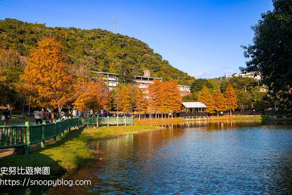 ▲▼台北士林景點，原住民文化主題公園，免門票唯美湖畔落羽松美景。（圖／史努比遊樂園提供）