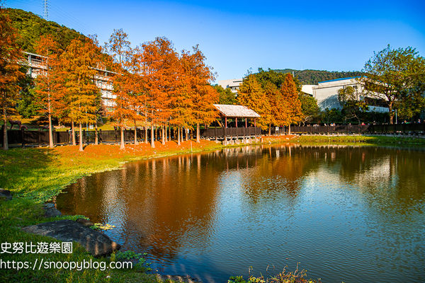 ▲▼台北士林景點，原住民文化主題公園，免門票唯美湖畔落羽松美景。（圖／史努比遊樂園提供）