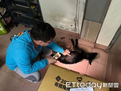 惡飼主凌虐！黑狗疑遭灌食慘死「滿地糞便」　她竟說鄰居餵魚刺