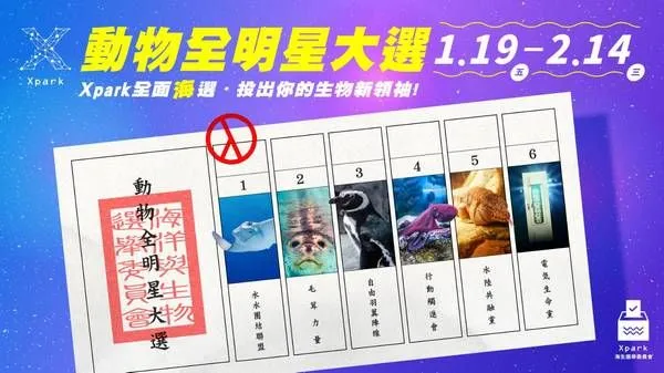 ▲2024大選落幕！Xpark動物全明星大選接力登場