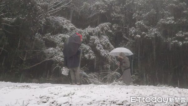 陽明山雨夾雪。（圖／記者湯興漢攝）