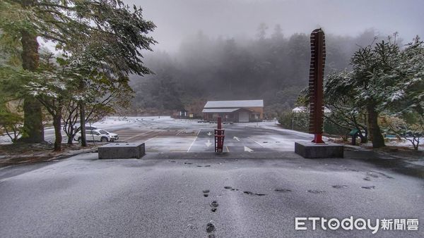 大雪山49k一早6點多下雪。（圖／林業署台中分署提供）