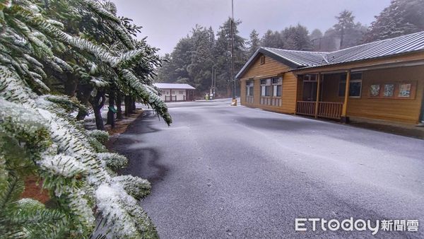 大雪山49k一早6點多下雪。（圖／林業署台中分署提供）