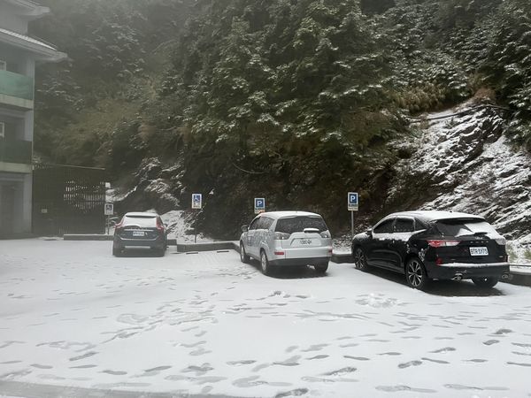 ▲▼        合歡山下雪     。（圖／林業保育署南投分署提供）