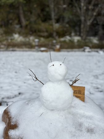 ▲▼太平山23日，－3°C「雪片紛飛」積雪一公分多，遊客們在銀白夢幻美景之境大打雪戰。（圖／太平山莊提供，下同）