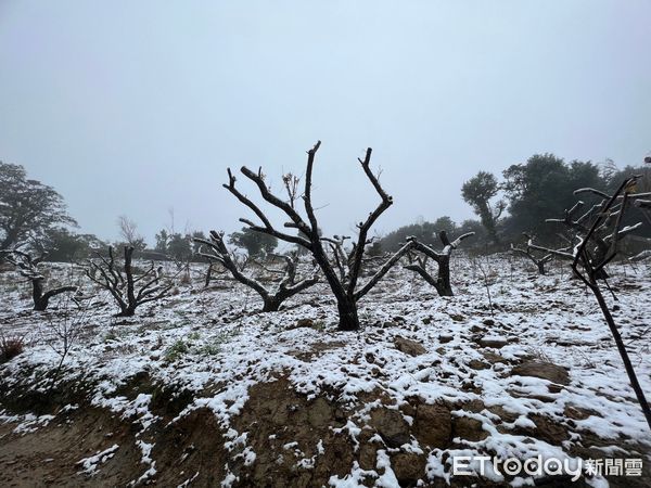 ▲▼新北三峽下雪。（圖／記者陸運陞翻攝）