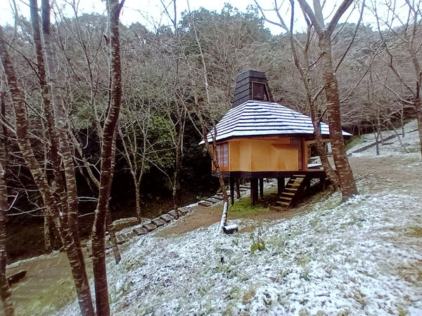 ▲新北三峽的「禾煦熊空」茶園也傳出降雪。（圖／禾煦熊空提供，翻攝自台灣農林熊空茶園）