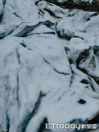 ▲▼馬祖北竿壁山昨夜下起冰霰和雪。（圖／記者林名揚翻攝）