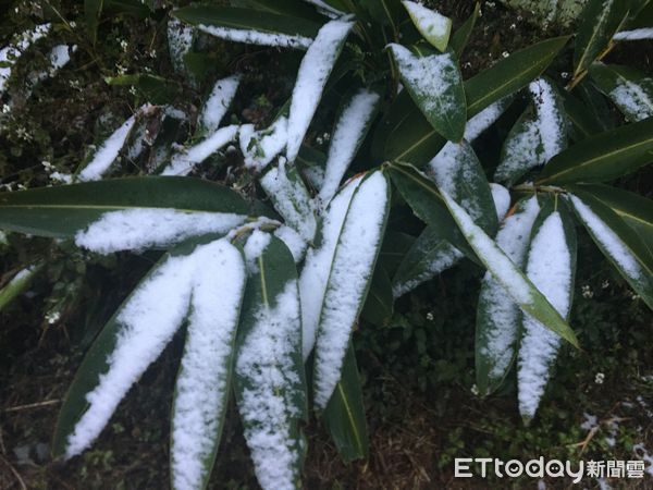 ▲▼馬祖北竿壁山昨夜下起冰霰和雪。（圖／記者林名揚翻攝）