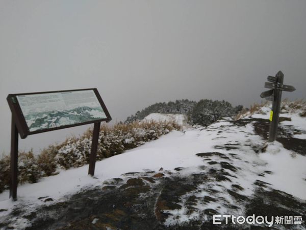 ▲▼  雪霸國家公園桃山步道雪身超過20公分          。（圖／雪霸處保育志工張慧芳提供）