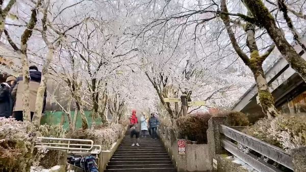 ▲▼   太平山   。（圖／太平山莊提供）