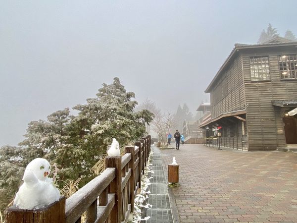 ▲▼   太平山   。（圖／太平山莊提供）