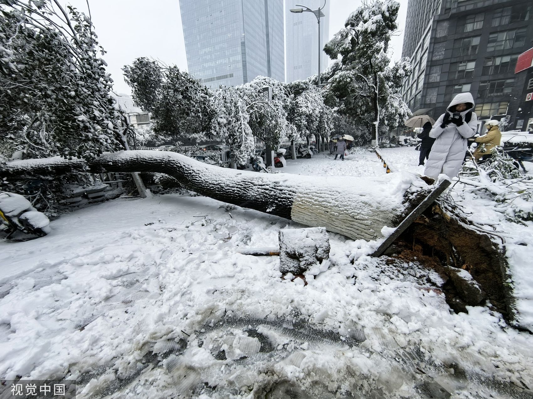 ▲▼湖南大雪,湖南暴雪,下雪。（圖／視覺中國）