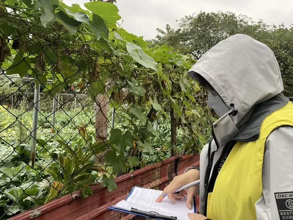 ▲寒流來襲持續低溫 新北提醒農友注意防寒措施。（圖／新北市農業局提供）