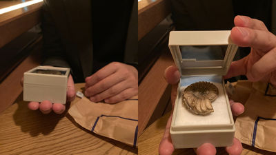 老公突然掏出小盒子！她以為是戒指「結果竟是菊石化石」　網笑瘋：這很直男