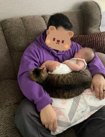 貓咪與寶寶。（圖／翻攝自小紅書@傘口組）