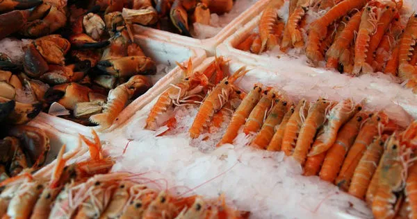 7人自助餐吃到飽　竟把10公斤海鮮「拿到飽」帶回家