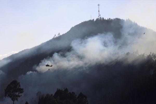 ▲▼哥倫比亞目前至少有26處森林大火正在燃燒中。（圖／路透）