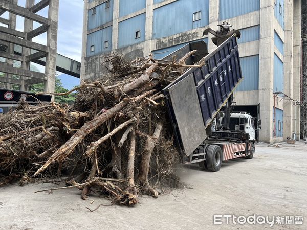 ▲▼花蓮分署在木瓜溪高灘地分年剷除銀合歡，以人為介入方式加速恢復原生植被，發揮串聯生物棲地的功能。（圖／花蓮分署提供，下同）