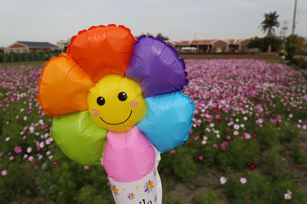 ▲彰化花海春節大爆發。（圖／彰化縣政府 鹿港鎮公所 民眾提供）