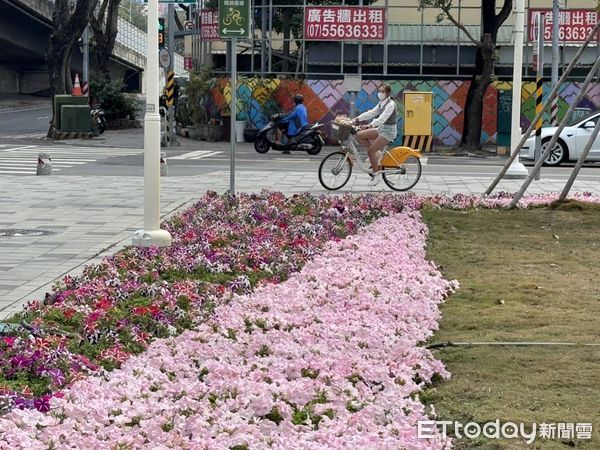 ▲▼高雄春節花海景點曝光。（圖／記者賴文萱翻攝）