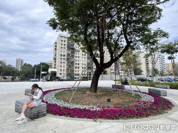 ▲▼高雄春節花海景點曝光。（圖／記者賴文萱翻攝）