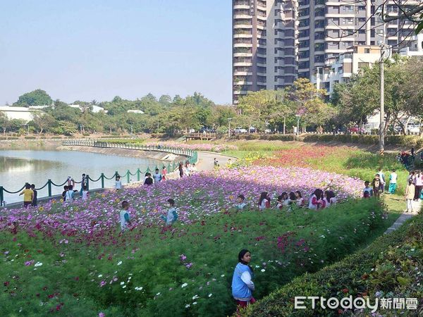 ▲▼高雄春節花海景點曝光。（圖／記者賴文萱翻攝）