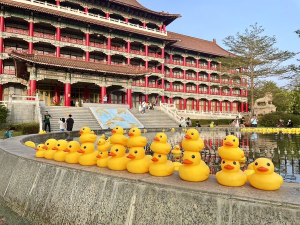 ▲高雄圓山大飯店水池滿是黃色小鴨。（圖／翻攝自飯店臉書）