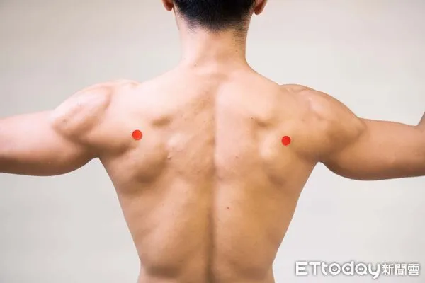 ▲▼中醫可以如何緩解這些久坐造成的筋骨痠痛呢？以下提供幾個穴位，適度按摩有助於促進血液循環、解除痠痛疲勞。（圖／記者吳世龍翻攝）