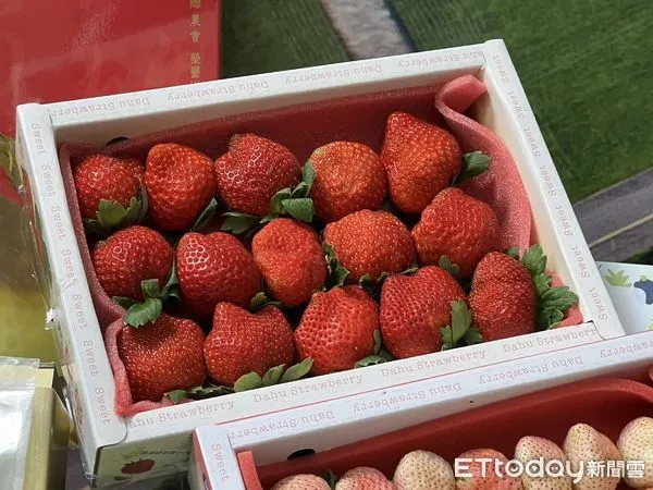▲草莓資料照。（圖／記者楊惠琪攝）