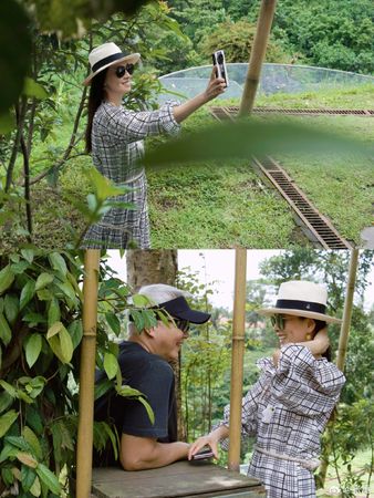 ▲張庭、林瑞陽在杜拜投資了台幣將近9億的房地產。（圖／翻攝自微博／張庭）