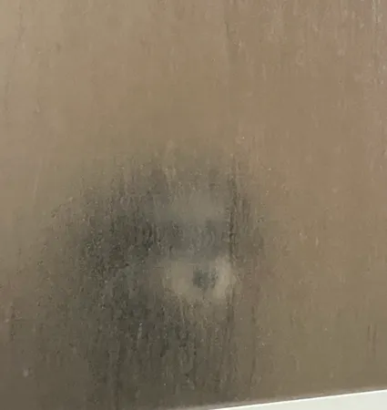 ▲洗澡發現有人在偷看！回頭驚見「模糊小狗臉」　牠站在門外監視（圖／翻攝自X平台／ナグキ）