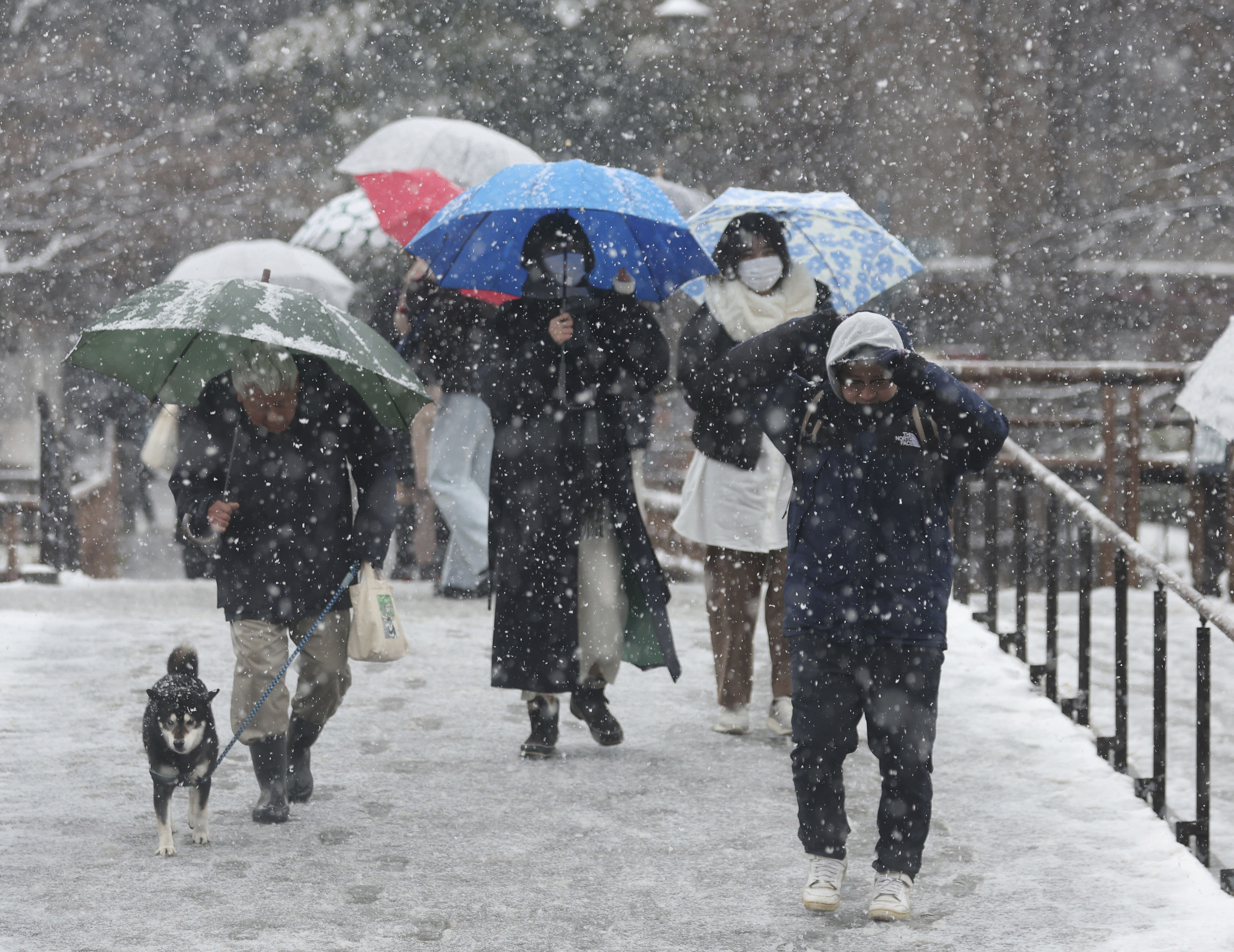 ▲▼日本下雪、東京下雪、日本大雪、日本降雪。（圖／達志影像／美聯社）