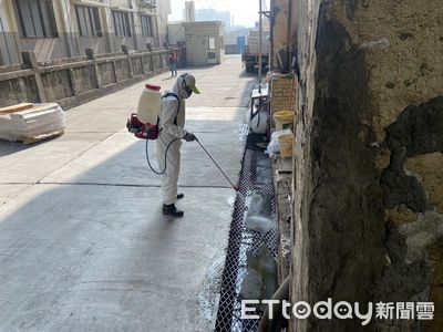 台灣漢他主流是「首爾型病毒」　醫：致死率低、需就醫不到1成