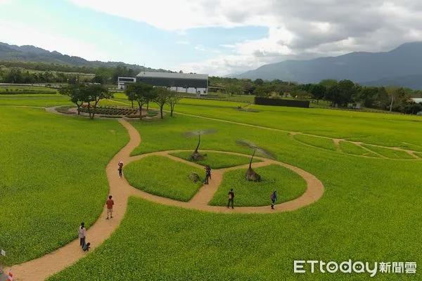 ▲金黃色油菜花海襯托創作家達鳳‧旮赫地「永恆的忻星」藝術品，如同無圍牆的大地展覽。（圖／花蓮分署提供，下同）