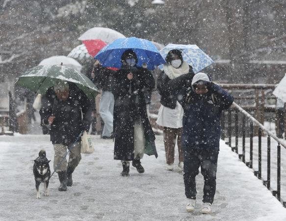 ▲▼日本下雪、東京下雪、日本大雪、日本降雪。（資料照／達志影像／美聯社）