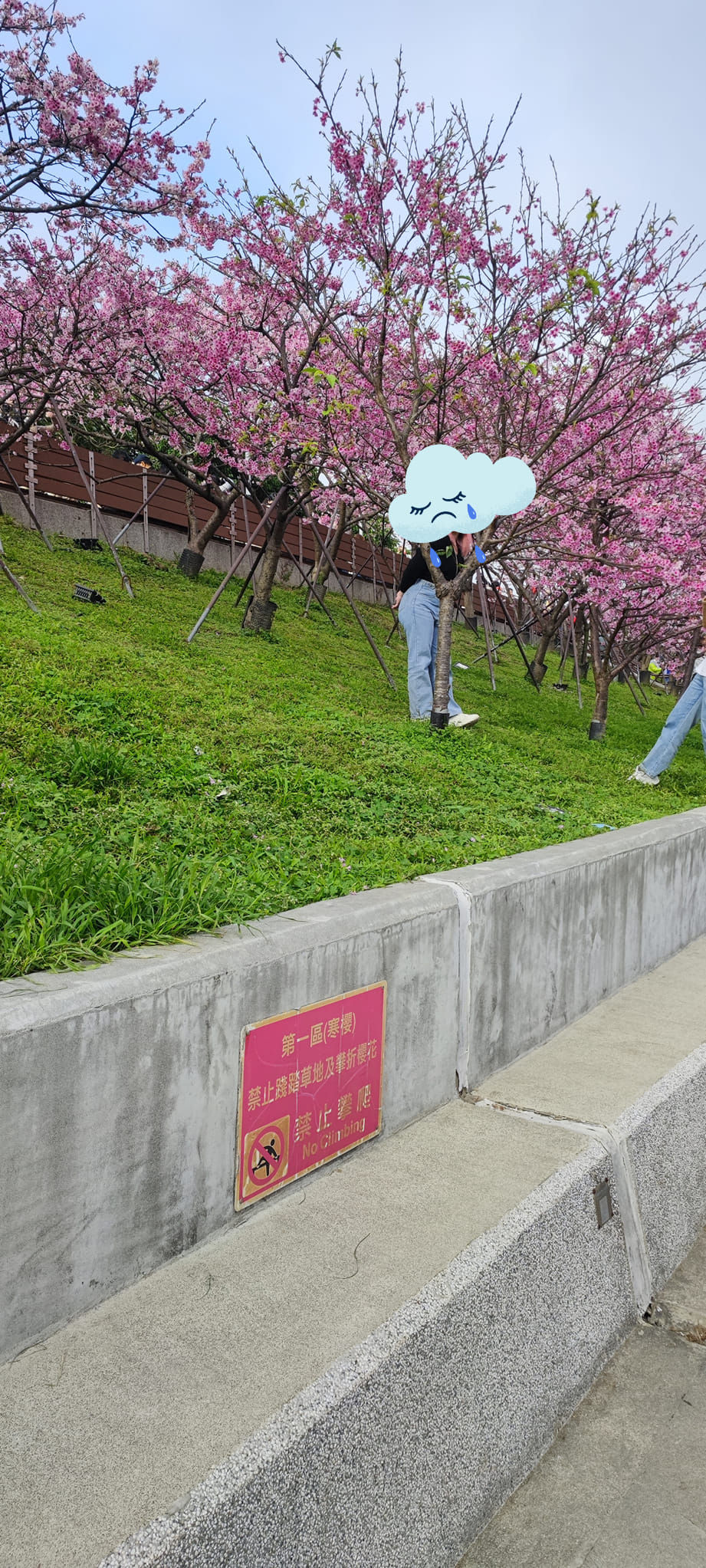 ▲網友大嘆總是有人看不懂警告標示，為了一己的私慾破壞景觀。（圖／翻攝「我是東湖人」社團）