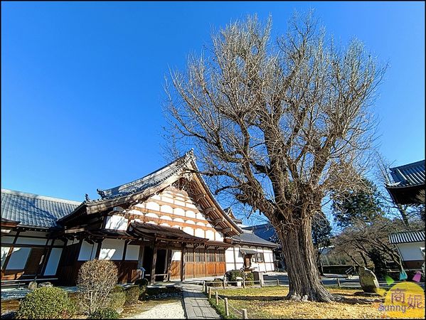 ▲▼日本岐阜一日遊，隨便拍都美得像明信片。（圖／商妮提供）