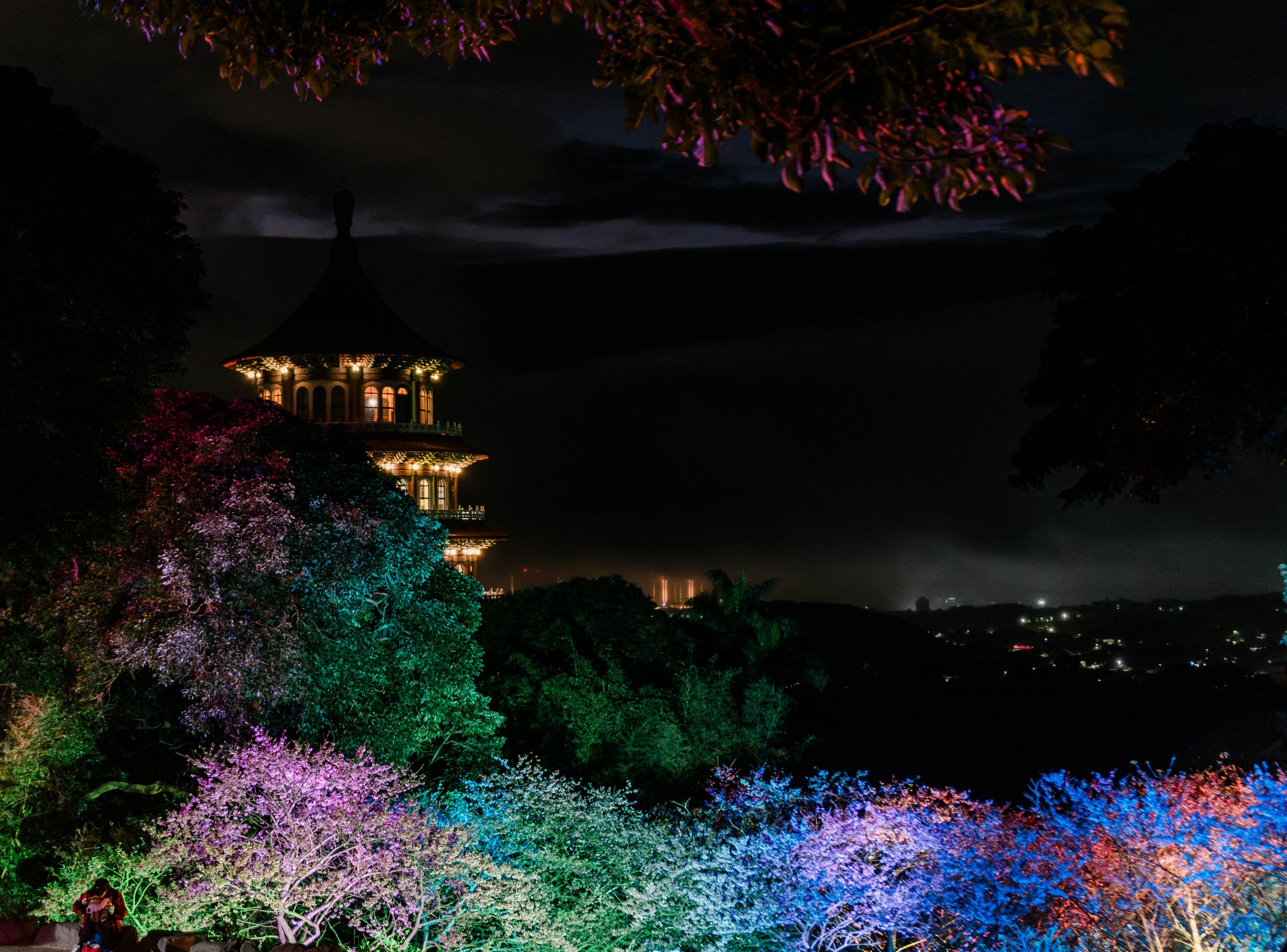 ▲新北日夜賞櫻超浪漫 淡水天元宮夜櫻今點燈。（圖／新北市景觀處提供）