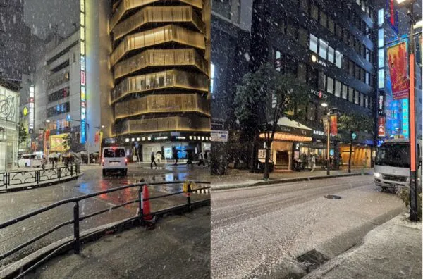 ▲▼東京新宿5日傍晚雪景。（圖／網友mia授權提供，請勿翻攝，以免侵權）