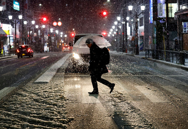 ▲▼日本東京大雪。（圖／路透）