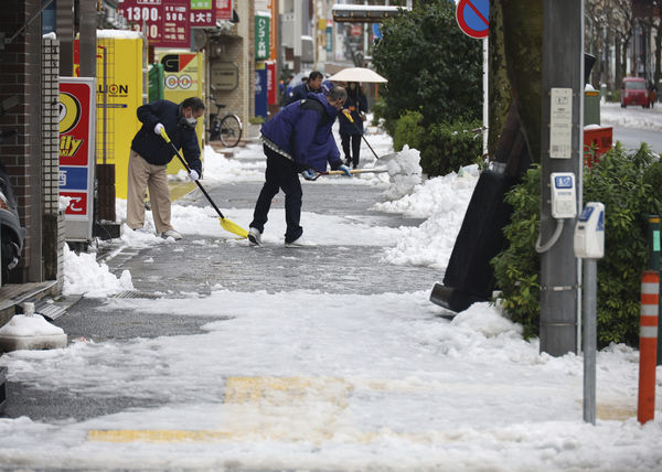 ▲▼東京下雪。（圖／達志影像／美聯社）