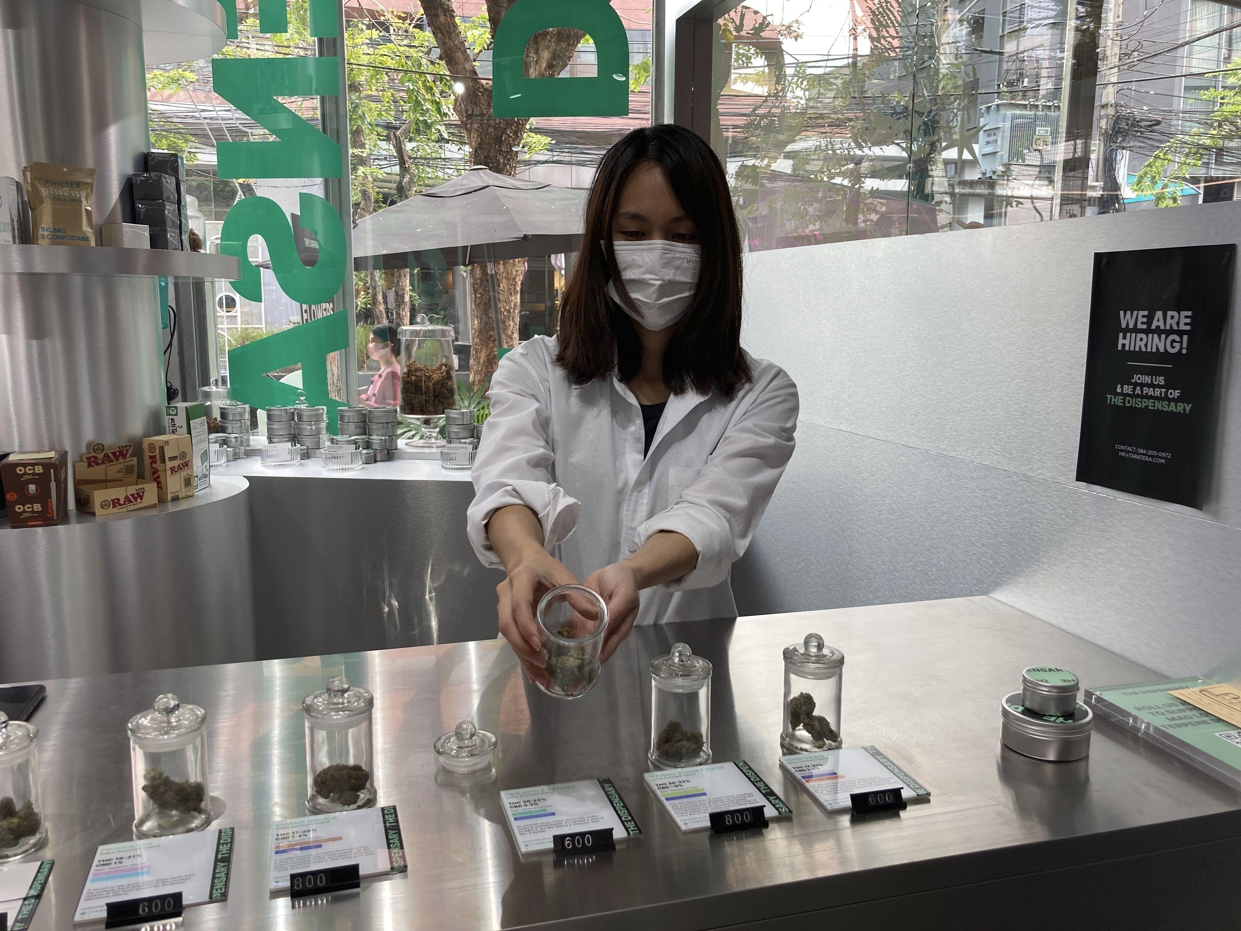 ▲▼泰國曼谷某藥房的女銷售員正在展示大麻品種。（圖／達志影像／美聯社）
