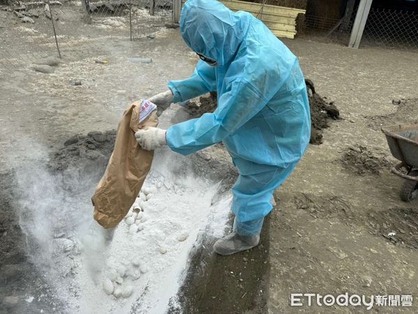 ▲雲林縣麥寮鄉1土雞場與1種鵝場確診H5N1亞型高病原性禽流感。（圖／記者蔡佩旻翻攝）