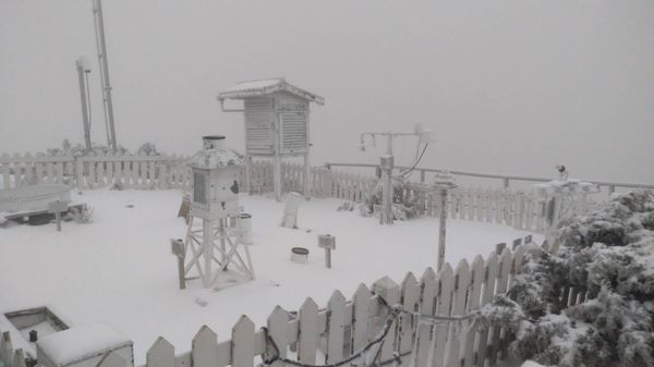 ▲▼玉山降雪。（圖／中央氣象署）