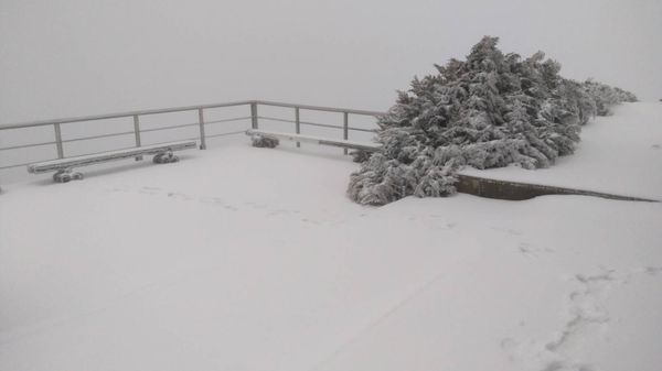 ▲▼玉山降雪。（圖／中央氣象署）